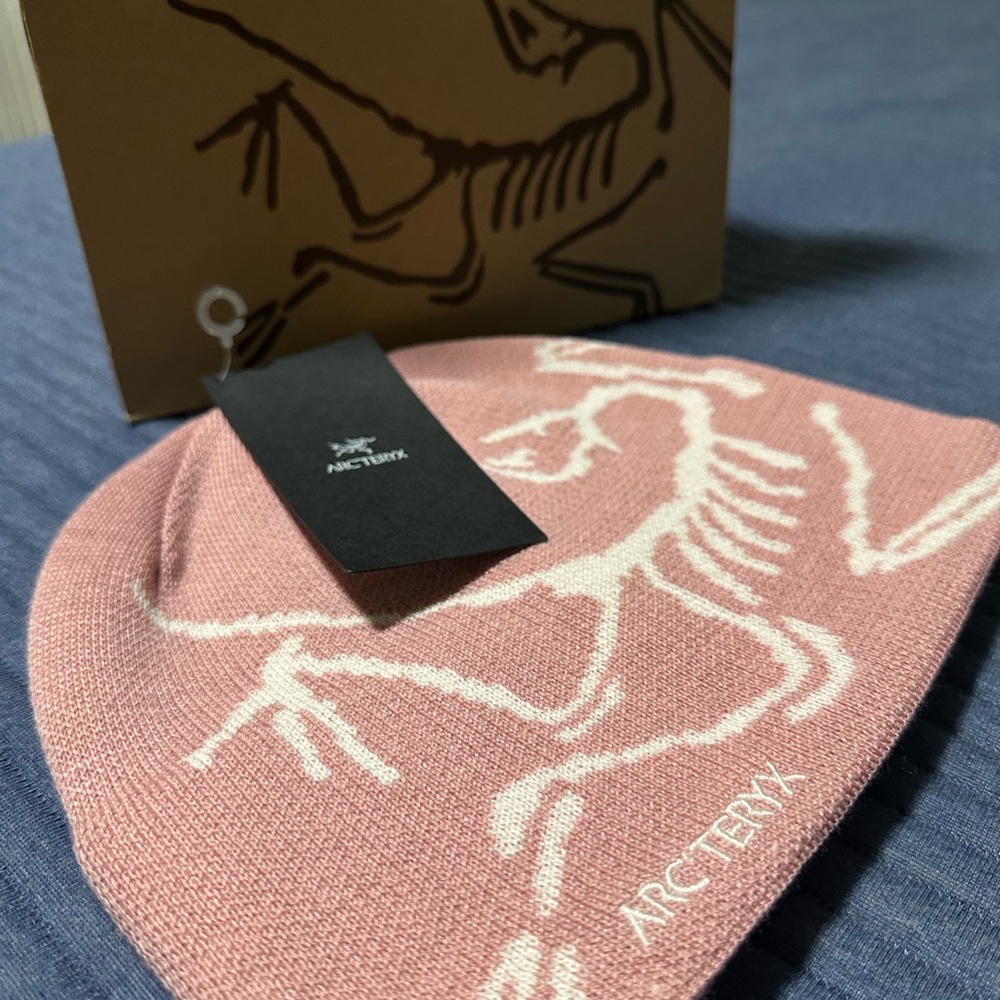 Arc'teryx Beanie /Toque (BLISS/ ARCTIC SILK/ PINK)